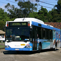 Route 546 Sydney Buses Wiki Fandom
