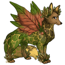 Zolnixi male