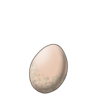Puffadore egg