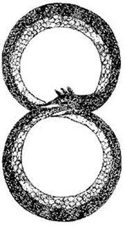 Ouroboros2