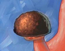 300px-Rocky