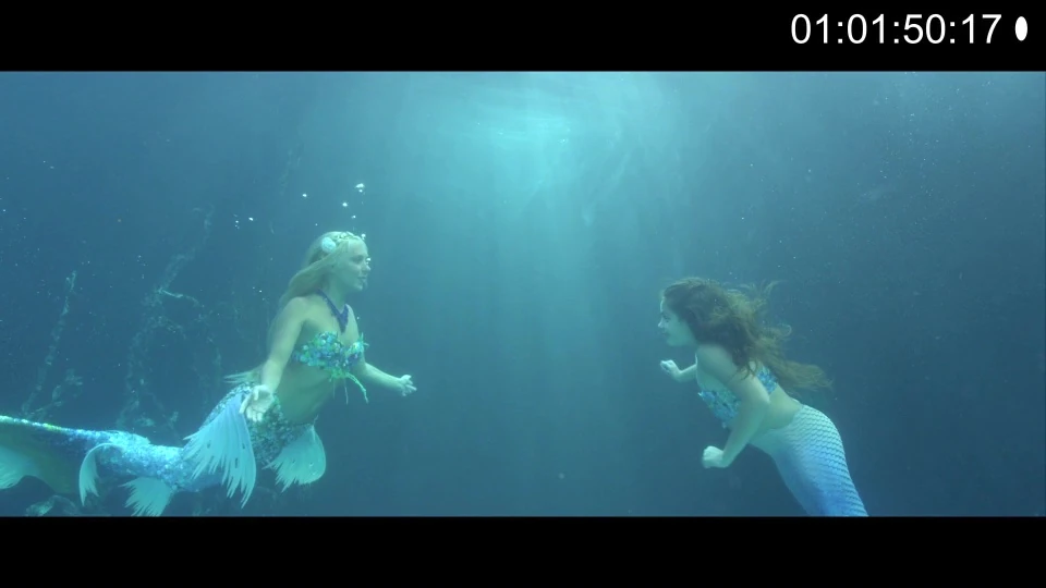 Scales Mermaids are real Syreny Wiki Fandom