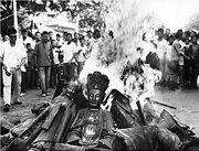 Cultural revolution