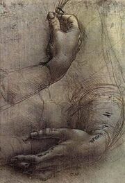 Study of Arms and Hands