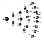 Nuclear-fission