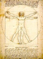 Proportions