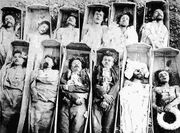Corpses
