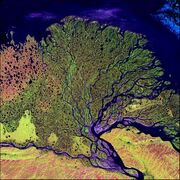 A river delta (Lena river)