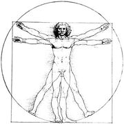 Vitruvian man