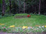 Tolstoy grave