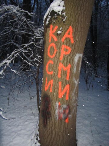 File:IMG 3272.jpg