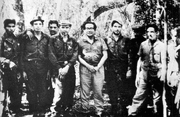 Guerrillas
