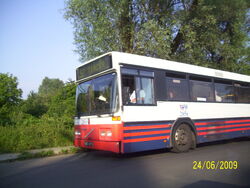 Szczecin w lecie 056