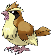 Pidgey