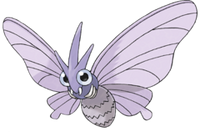 Venomoth