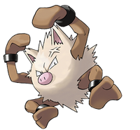 Primeape