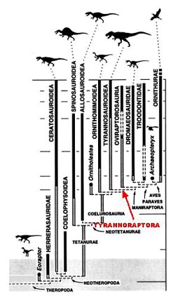 Theropoda