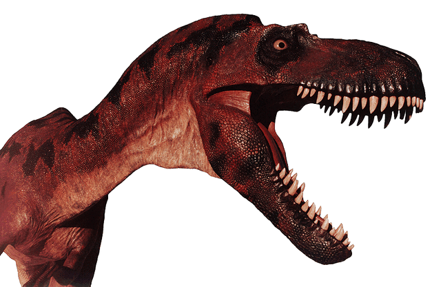 File:Albertosaurus4.gif