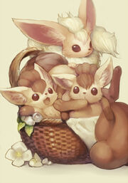 Foxes
