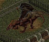 Dragon lh