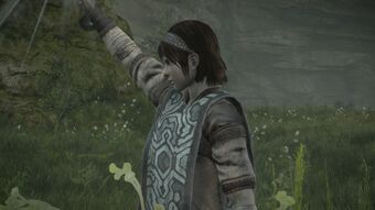 Wander Team Ico Wiki Fandom