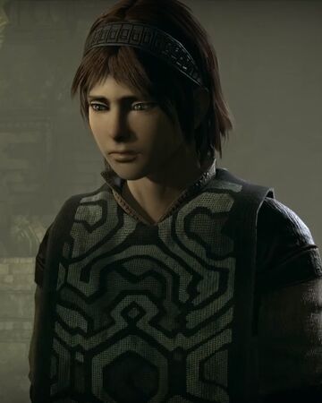 Wander Team Ico Wiki Fandom