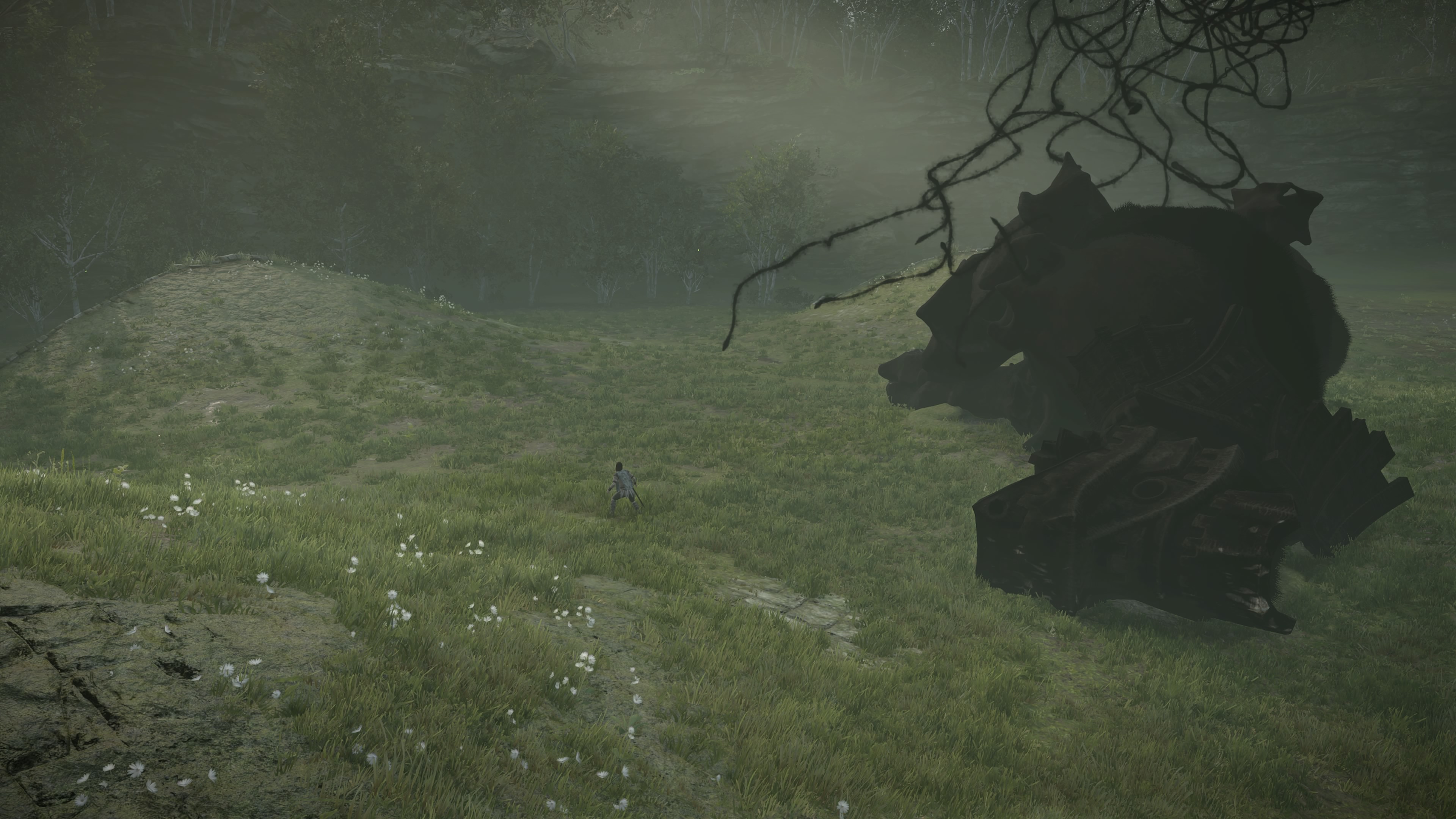 The Colossi Team Ico Wiki Fandom