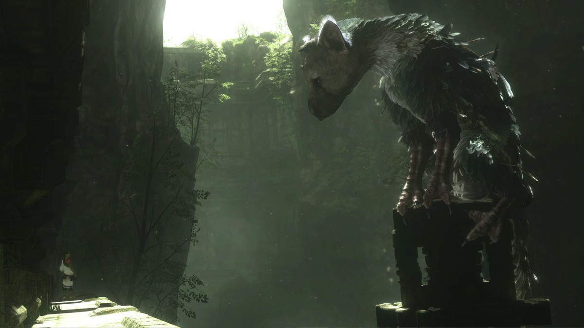 Trico Team Ico Wiki Fandom Powered By Wikia