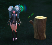 Ninja Transform