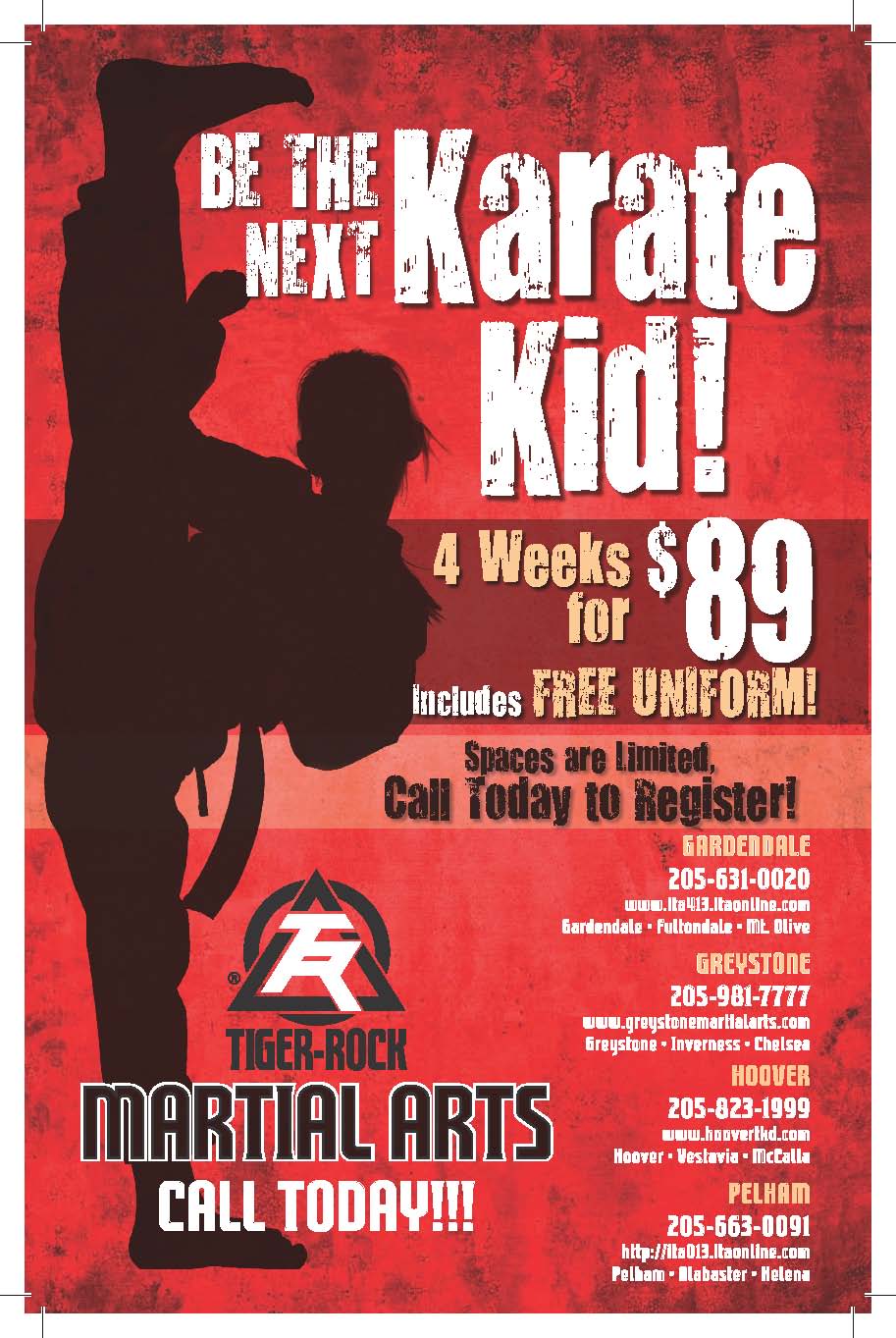 tips for owners of taekwondo schools taekwondo wiki fandom taekwondo flyer sample