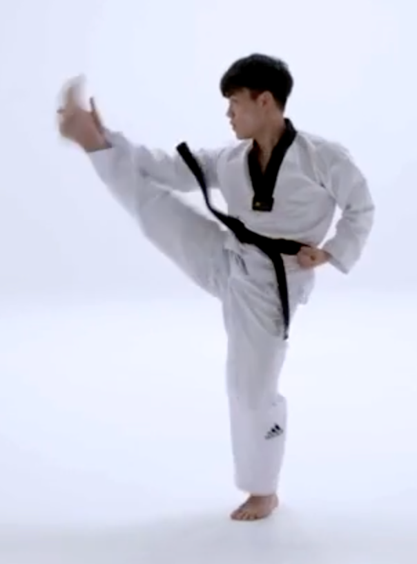 complete taekwondo poomsae pdf file complete taekwondo poomsae pdf file