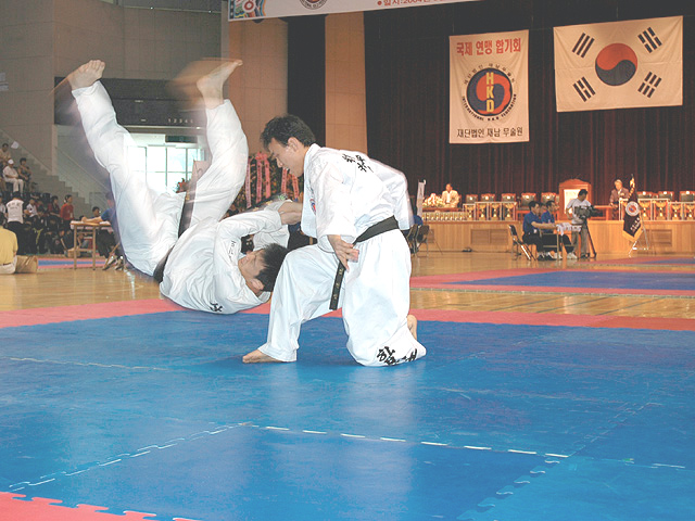 Hapkido Taekwondo Wiki FANDOM powered by Wikia