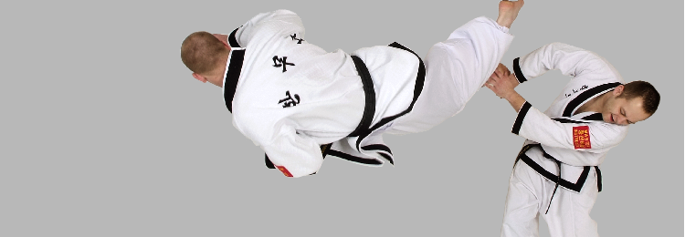Han Mu Do Taekwondo Wiki FANDOM powered by Wikia