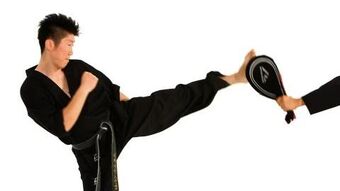 Skip Roundhouse Kick Taekwondo Wiki Fandom