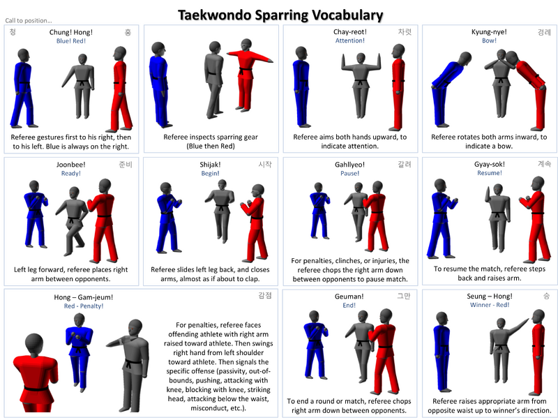 Taekwondo Vocabulary Taekwondo Wiki FANDOM powered by Wikia