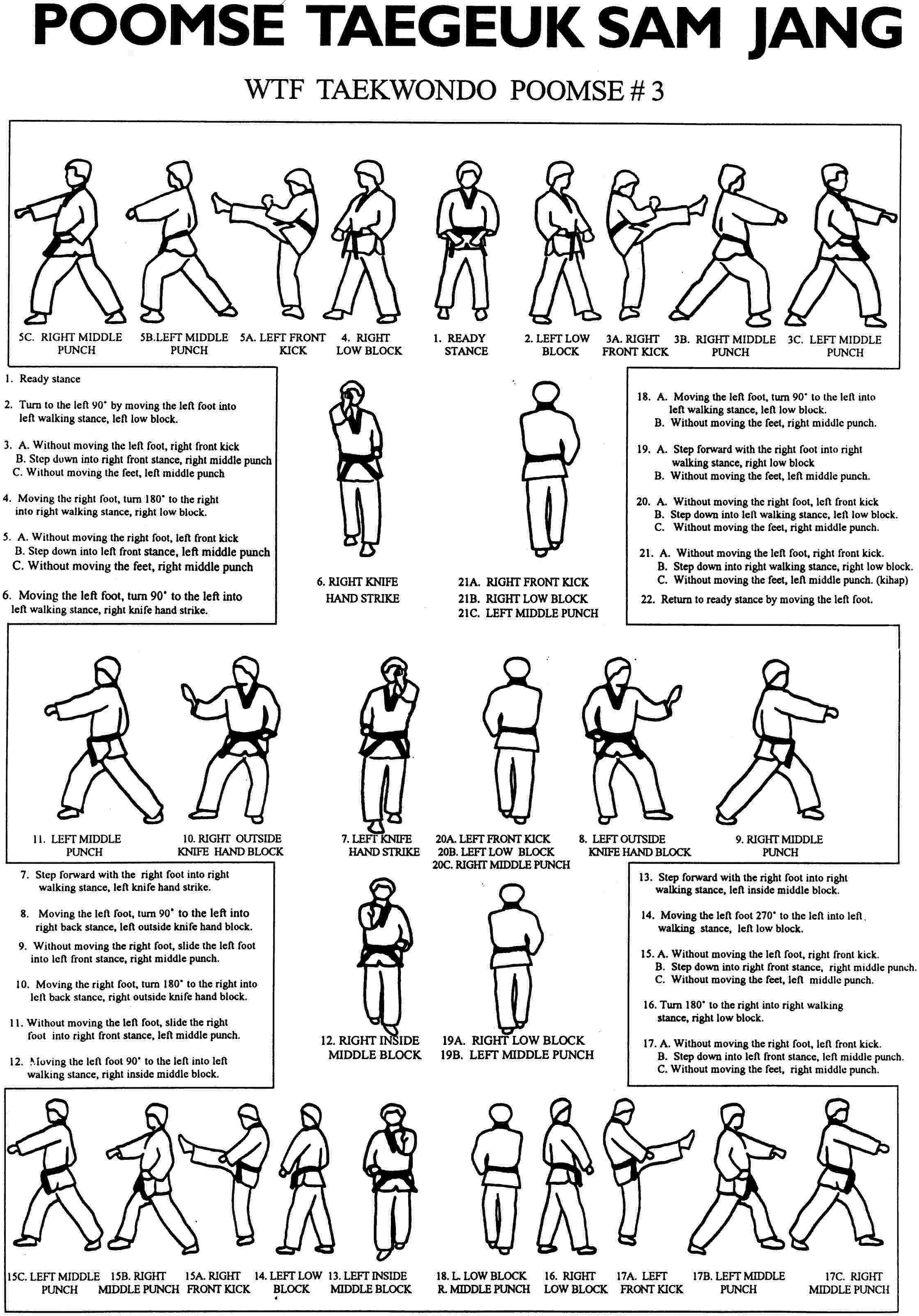 taekwondo steps for white belts