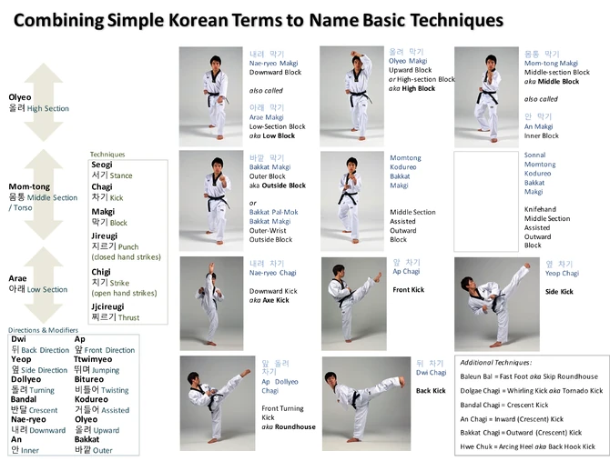 Taekwondo Pdf Techniques