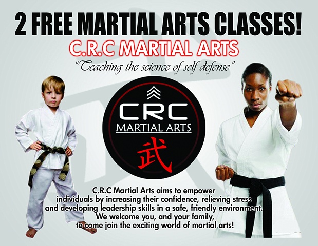 tips for owners of taekwondo schools taekwondo wiki fandom taekwondo flyers