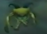 Imps