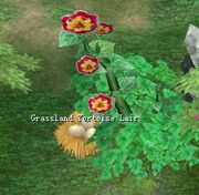 Grassland Tortoise Lair