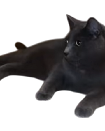 Gibbyson Talking Kitty Cat Wikia Fandom