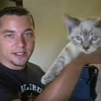 Ibanez Talking Kitty Cat Wikia Fandom