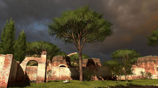 File:Tree.jpg