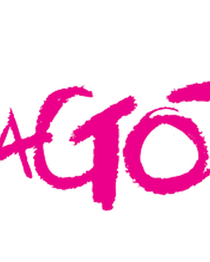 Tamagotchi 1996 Pet Tamagotchi Wiki Fandom