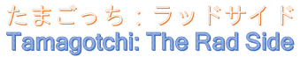 Ảnh3
