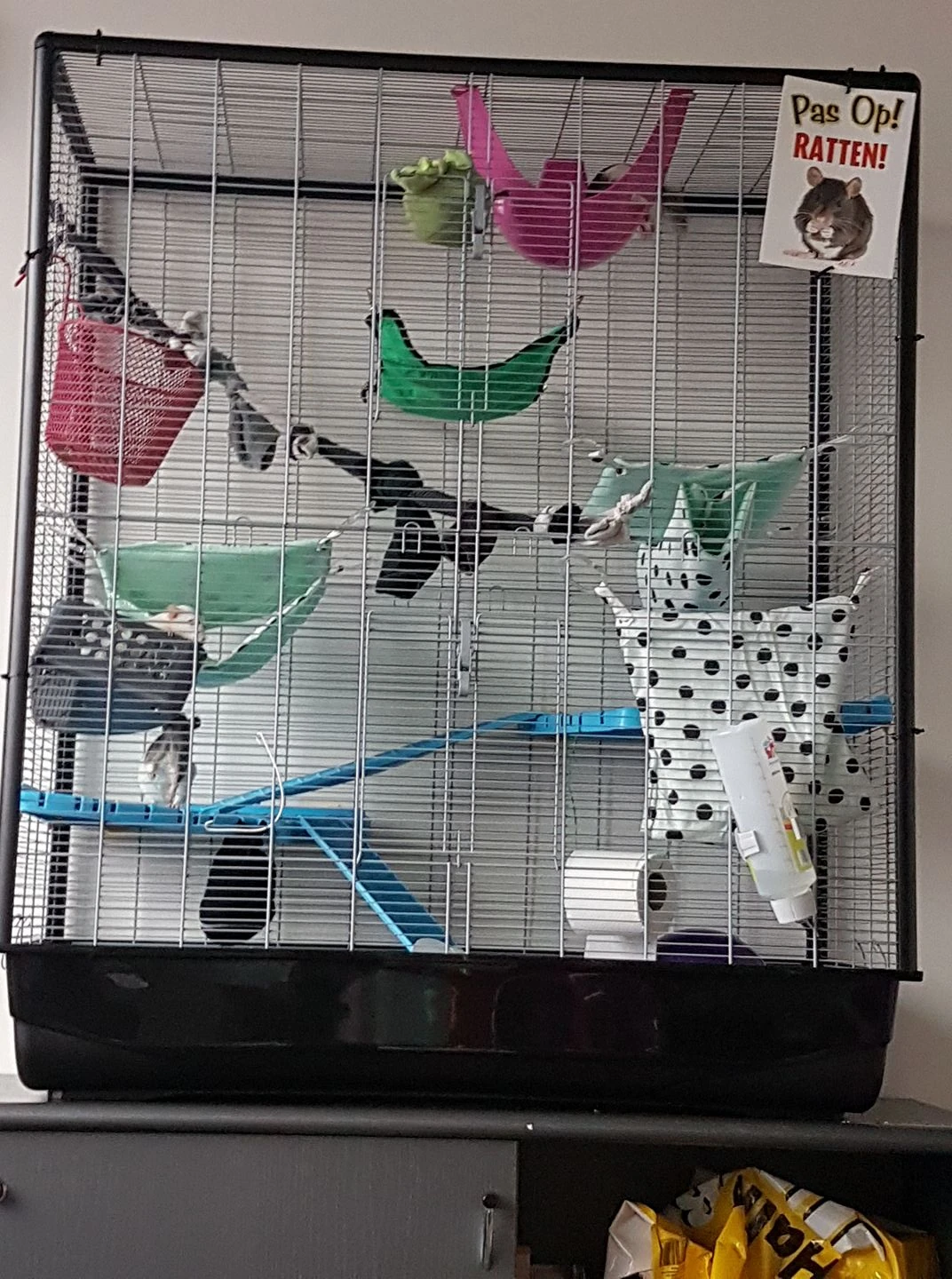 Savic Zeno 3 Empire Tamme Ratten wiki FANDOM powered by Wikia