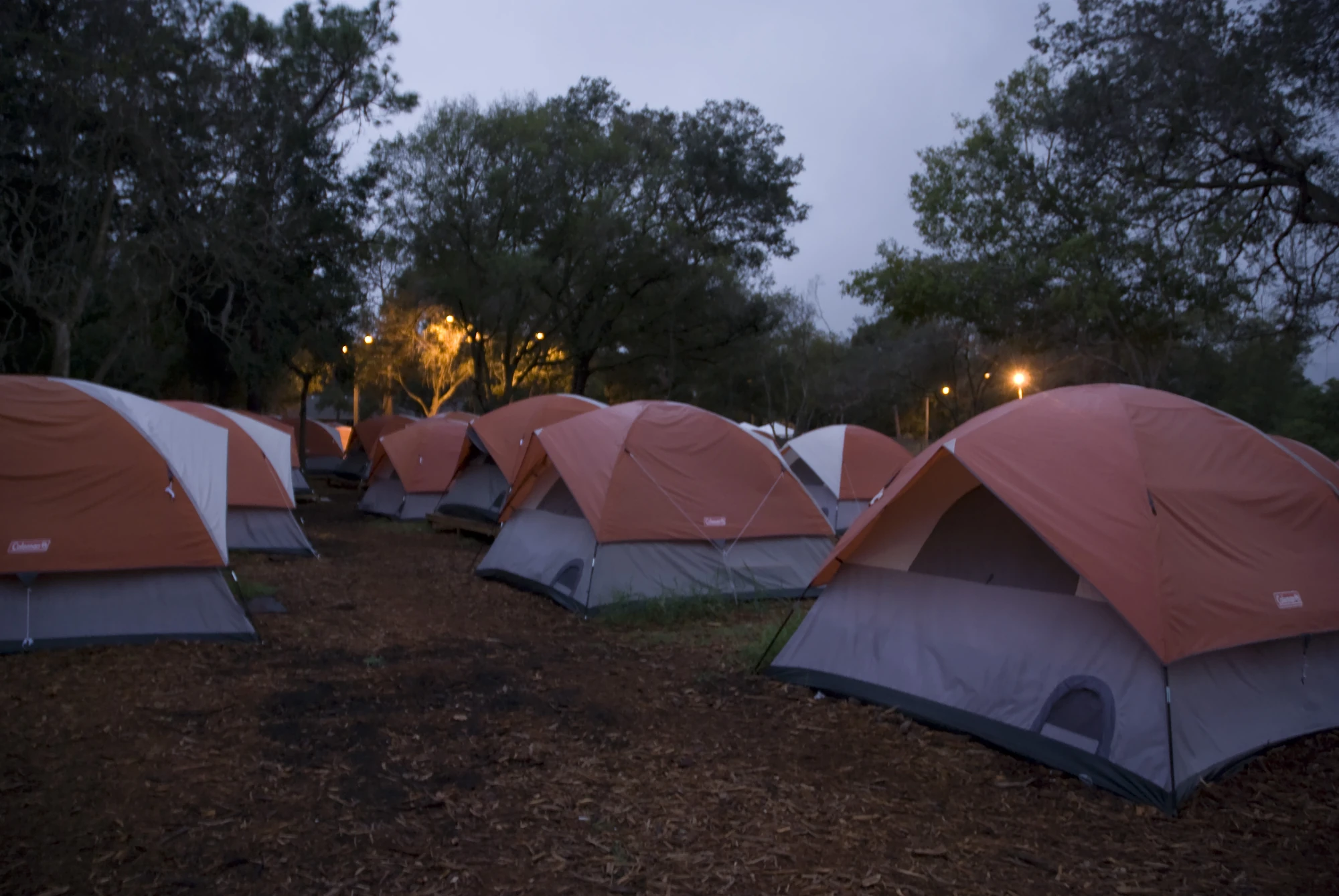 CategoryHousing Tampa Bay Homeless Resource Wiki FANDOM powered by