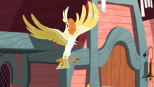 Father's Bird Form