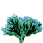 Craftitude ingredient spore