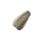 Craftitude ingredient seed